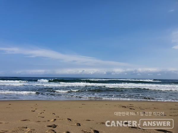 암 환자에게 스트레스는 치명적이다. 스트레스를 조절하는 방법 중 하나가 명상이다. 몸을 편안히 하고 걷는 것도 명상이 될 수 있다. /캔서앤서