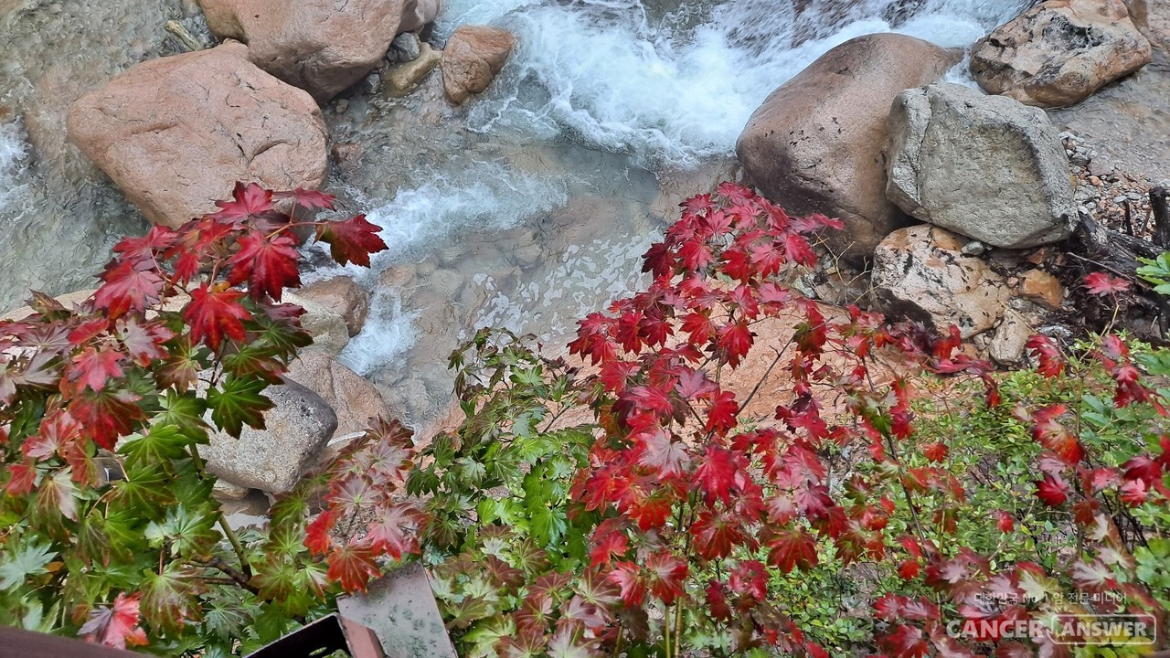 어느새 10월 중순, 설악산 단풍이 물들어가는 시절이다. 빠르게 지나가는 세월, 기회가 눈앞에 왔을 때 사로잡아야 후회 없는 삶을 살 수 있다. / 캔서앤서DB