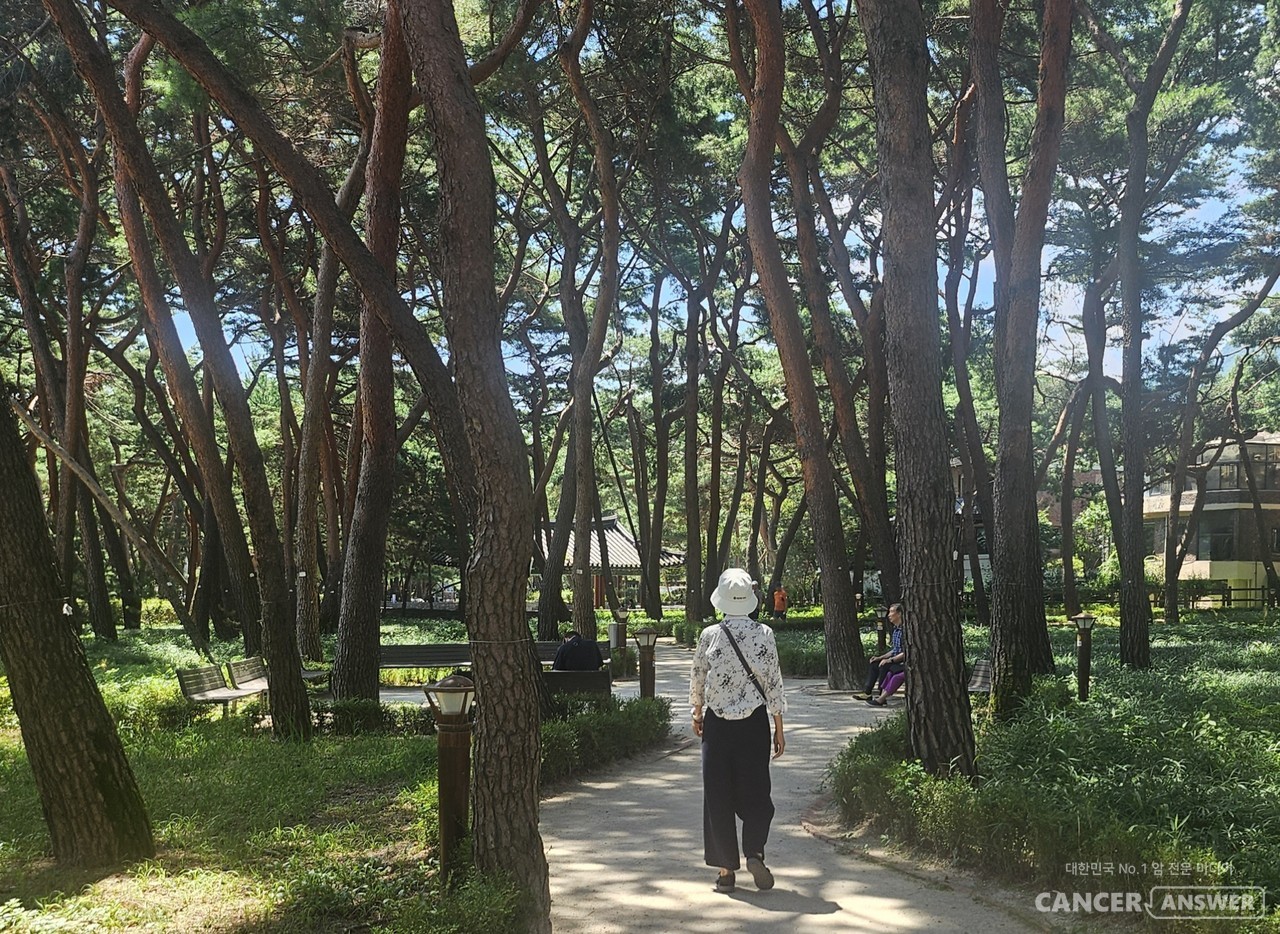 솔밭공원 부근에 가면 벌써 시원한 공기가 느껴진다. 공원의 풀잎에 맺힌 이슬방울, 소나무 사이로 비치는 햇살, 살랑살랑 불어오는 바람들이 나의 시선과 마음을 건드린다.