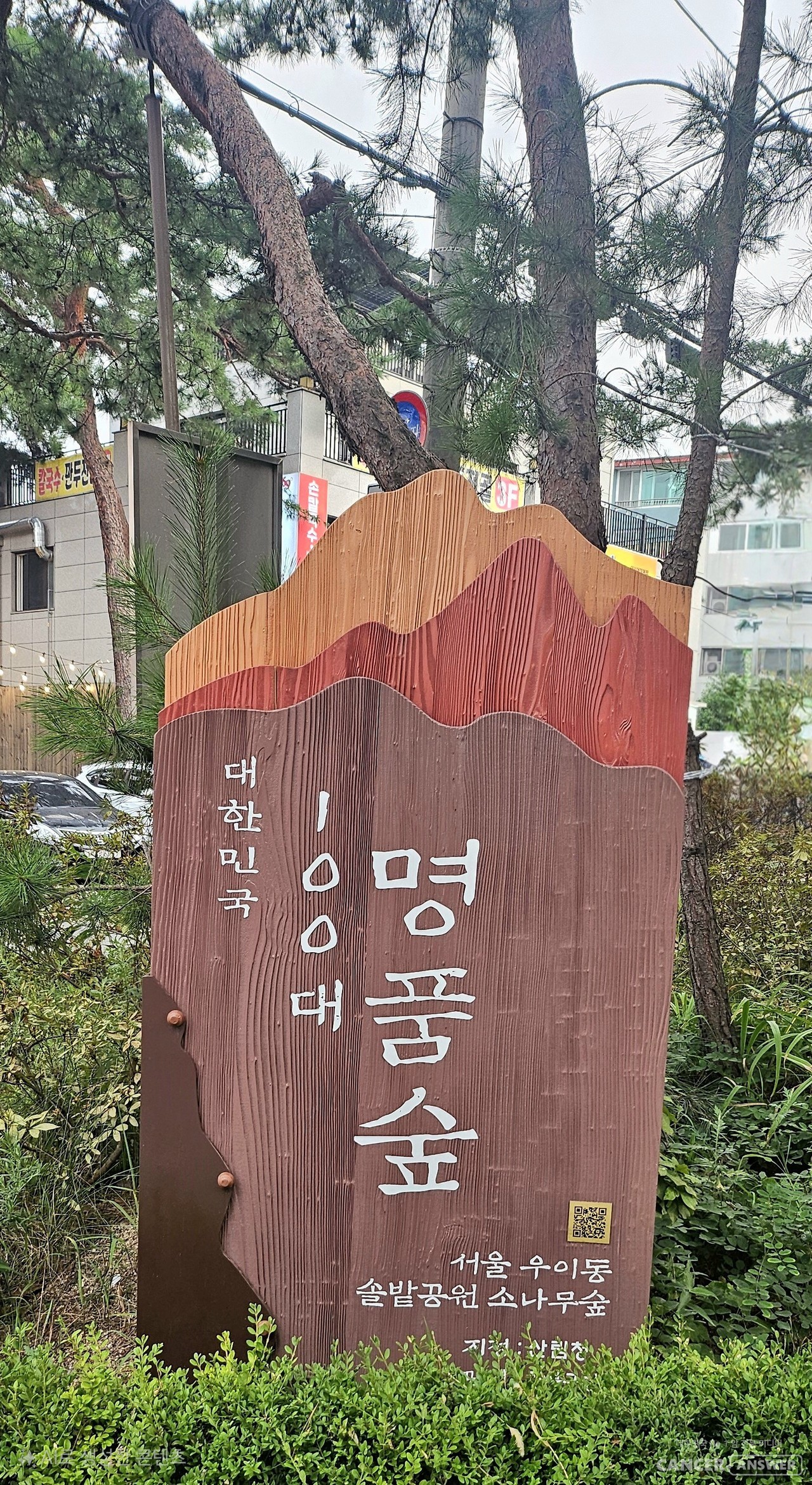 솔밭공원은 강북구 우이동에 3.5ha로, 100년 된 소나무 1천여 그루와 느티나무, 상수리나무 등이 함께 자라는 서울 유일의 평지 휴양 소나무 숲이다. 