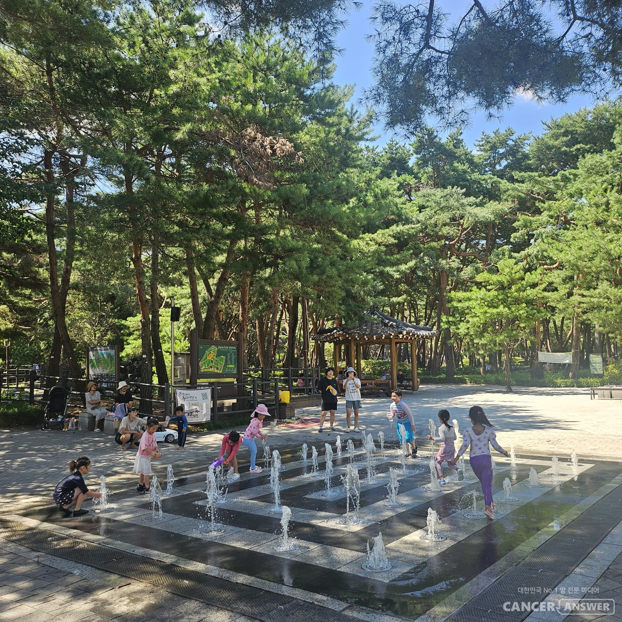 명품 숲에는 명품 사람들이 머문다는 생각이 떠오른다. 암으로 발견한 솔밭공원 근처로 이사를 오고 싶은 마음마저 생긴다. 이 모든 과정은 많은 수호천사님의 도움과 기도, 주님께서 함께해 주신 은총 덕분에 견딜 수 있었다.